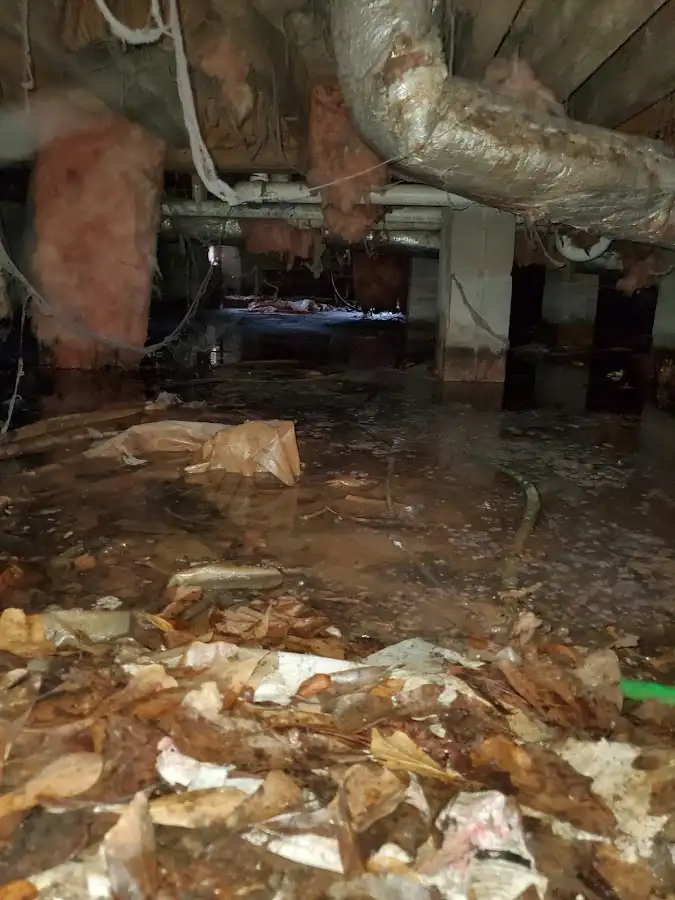 Crawl space flood assessment for Leak Detection & Repair in Boiling Springs