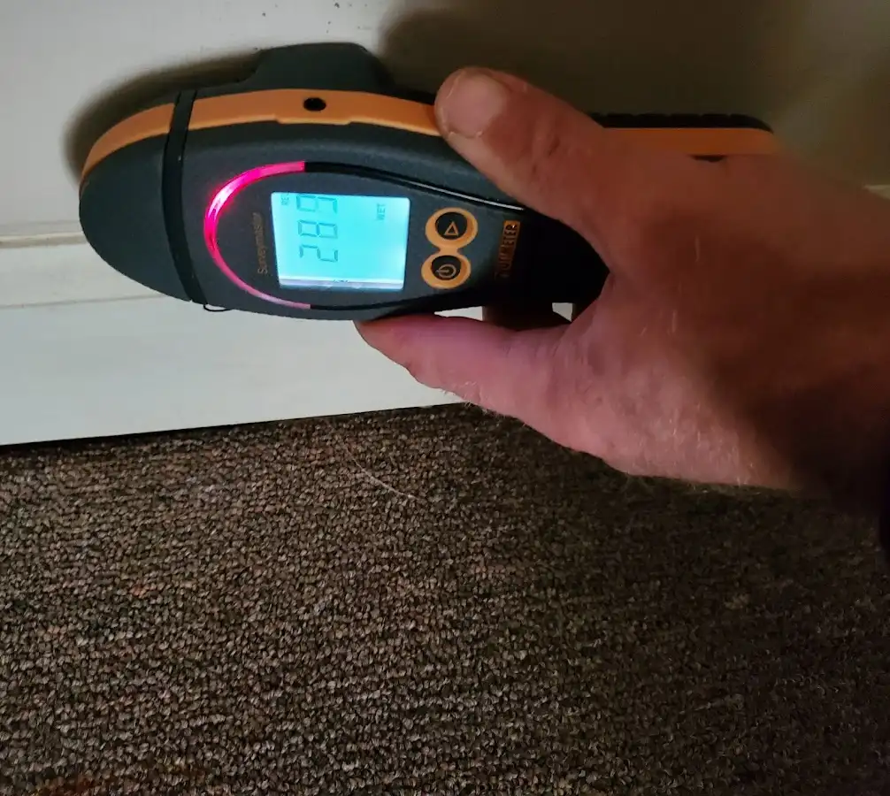 Moisture detection at baseboard during Sewage Cleanup & Sanitation in Boiling Springs